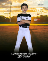 AAA.Bales.WhiteSox_Walters_Carter_143A1138_SUNSHINE