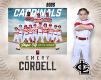 CP.Gibson.Cardinals_Cordell_Emery_SF_27798_MM