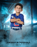 TB_CUBS_Carrasco_Levi_HN010334_DUGOUT
