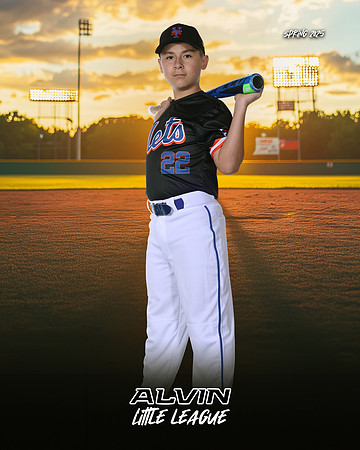 MJR_METS_12U_Swope_Forest_CAM13638_SUNSHINE
