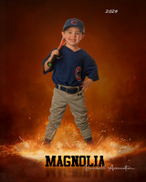 4_5U_Cubs_Reynolds_Walker_MAG26543_ROF