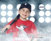 JR MINOR WOODPECKERS_Solis_Slayton_WC010973_LIT_
