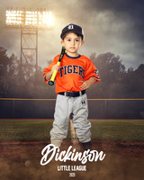 TB_TIGERS_White_Liam_DLL11552_FIELD LIGHTS_