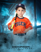 TB_TIGERS_White_Liam_DLL11552_DUGOUT_