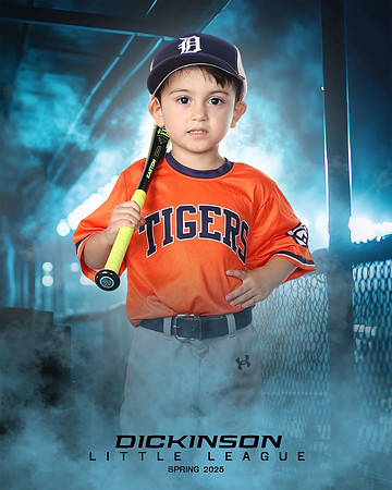 TB_TIGERS_White_Liam_DLL11552_DUGOUT_