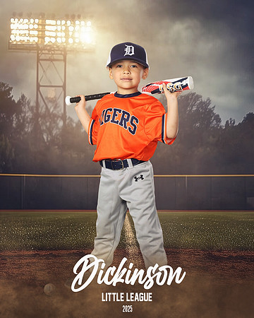 TB_TIGERS_Polk_Maddox_DLL11520_FIELD LIGHTS_