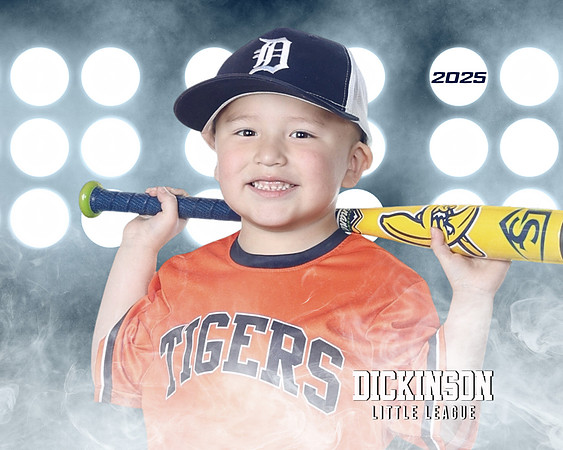 TB_TIGERS_villanueva_Giovanni_DLL11537_LIT