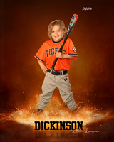 TB_TIGERS_Thorne_Anthony_DLL11623_ROF