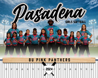 8U PINK PANTHERS