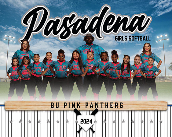 8U PINK PANTHERS