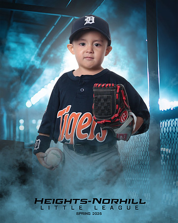 TB_TIGERS_Villanueva_Jax_HN022174_DUGOUT