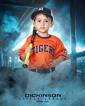 TB_TIGERS_White_Liam_DLL11553_DUGOUT_
