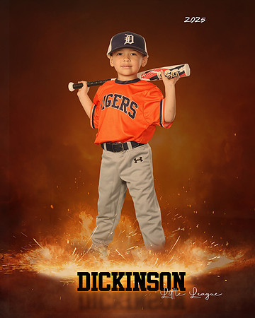TB_TIGERS_Polk_Maddox_DLL11520_ROF