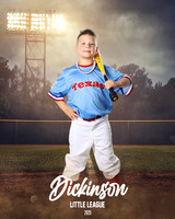 CP5U_RANGERS_Dyson_Hudson_DLL12060_FIELD LIGHTS_