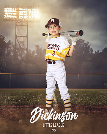 CP8_BOBCATS_BROZE_JACOB_DLL12366_FIELDLIGHTS