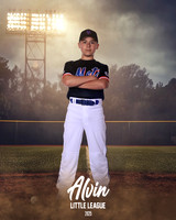 MJR_METS_12U_Swope_Forest_CAM13633_FIELDLIGHTS