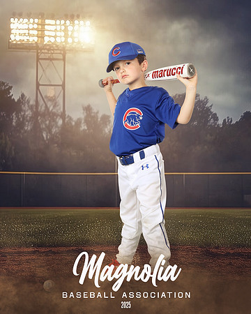 6U_Cubs_McCullen_Gentry_MAG11536_FIELD LIGHTS_