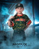 CP5_WOODDUCKS_Theobald_Bowen_IMGL8393_DUGOUT