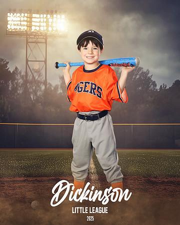 TB_TIGERS_Smith_William_DLL11545_FIELD LIGHTS_