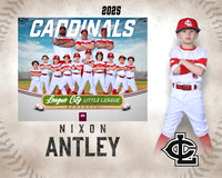 CP.Gibson.Cardinals_Antley_Nixon_SF_27702_MM