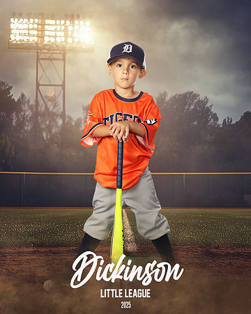 TB_TIGERS_Tiffany_Charles_DLL11647_FIELD LIGHTS_