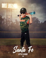 CP5_WOODDUCKS_Taboada III_Angel_IMGL8383_FIELDLIGHTS