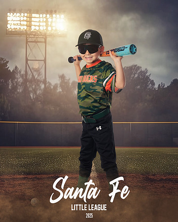 CP5_WOODDUCKS_Taboada III_Angel_IMGL8383_FIELDLIGHTS