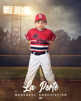 4U_Foal_Cardinals_Martinez_Mateo_LP022625_FIELDLIGHTS