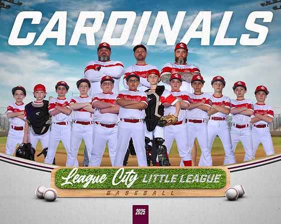 AAA.Lutz.Cardinals_NO BG