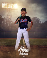 MJR_METS_12U_Orellana_Nicolas_CAM13655_FIELDLIGHTS