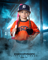 TB_TIGERS_Shafer_Harper_DLL12292_DUGOUT_