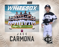 A.Johnston.WhiteSox_Carmona_Jace_143A1993_MM_MM