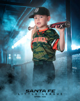 CP5_WOODDUCKS_Theobald_Bowen_IMGL8394_DUGOUT