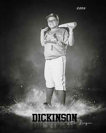 MJR_CARDINALS_Torres_Brody_DLL13158_ROF-BW