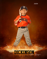 TB_TIGERS_Polk_Maddox_DLL11517_ROF