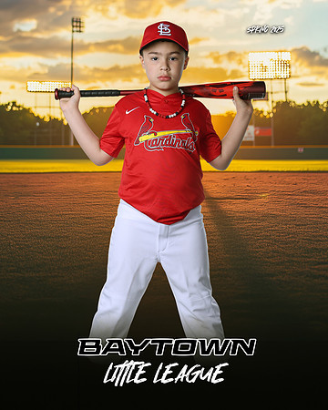 M3_ Cardinals_West_Ryan_BAY28028_SUNSHINE