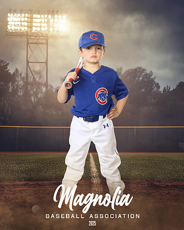 6U_Cubs_McCullen_Gentry_MAG11534_FIELD LIGHTS_