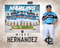MJR.Dickson.Marlins_Hernandez_Michael_SF_27431_MM