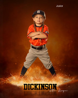 TB_TIGERS_Shafer_Harper_DLL12289_ROF