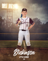 MINORS_TIMBERRATTLERS_Guidry_Weston_DLL20806_FIELD LIGHTS_