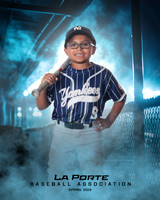 8U_Pinto_Yankees_Tirado_Brian_LP023816_DUGOUT