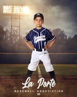 6U_Shetland_Yankees_Diaz_Damon_LP010752_FIELDLIGHTS