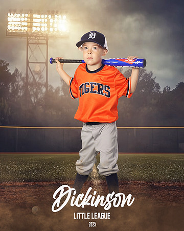 TB_TIGERS_ROUSER_Landon_DLL11528_FIELD LIGHTS_