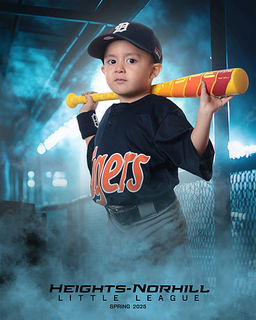 TB_TIGERS_Villanueva_Jax_HN022172_DUGOUT