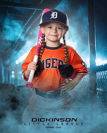 TB_TIGERS_Shafer_Harper_DLL12291_DUGOUT_