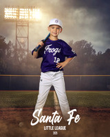 CP7_FROGS_Stewart_Carter_SF111007_FIELDLIGHTS