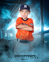 TB_TIGERS_ROUSER_Landon_DLL11523_DUGOUT_