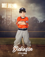 TB_TIGERS_Smith_William_DLL11542_FIELD LIGHTS_
