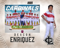 MJR.Powell.Cardinals_Enriquez_Deacon_143A1782_MM