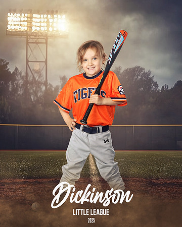 TB_TIGERS_Thorne_Anthony_DLL11623_FIELD LIGHTS_